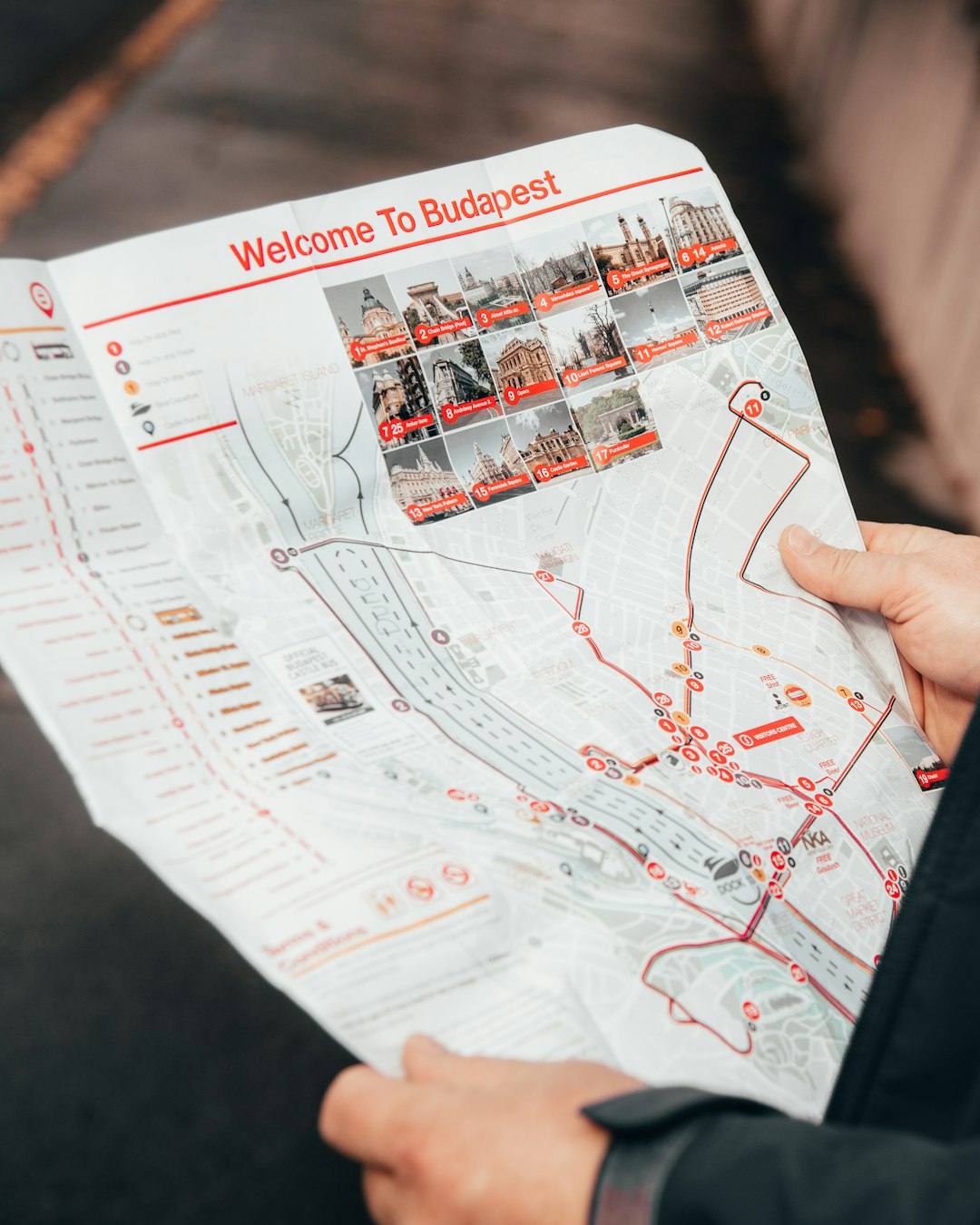 Culinary Journeys: Exploring World Cuisine