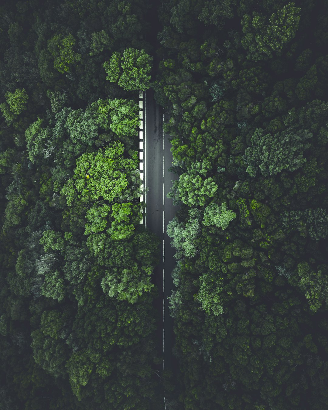 New Zealand